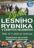 Výlov Lesního rybníka 1